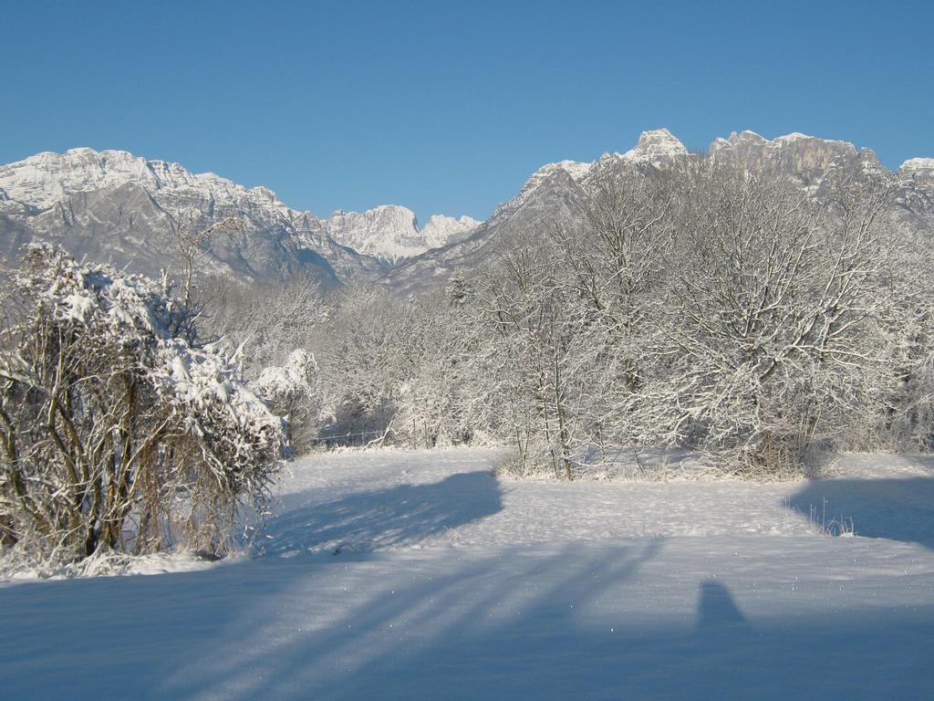 B&B Col Del Vin Belluno Exterior photo