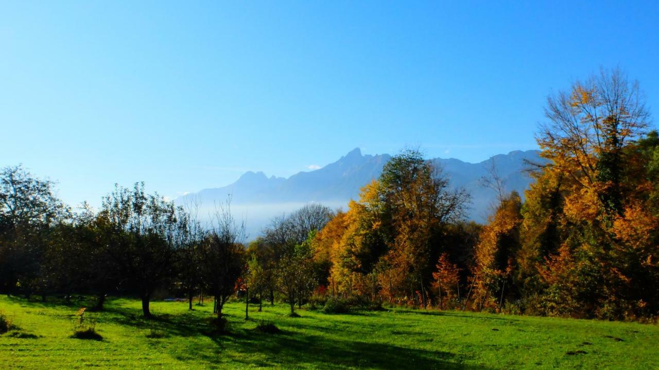 B&B Col Del Vin Belluno Exterior photo